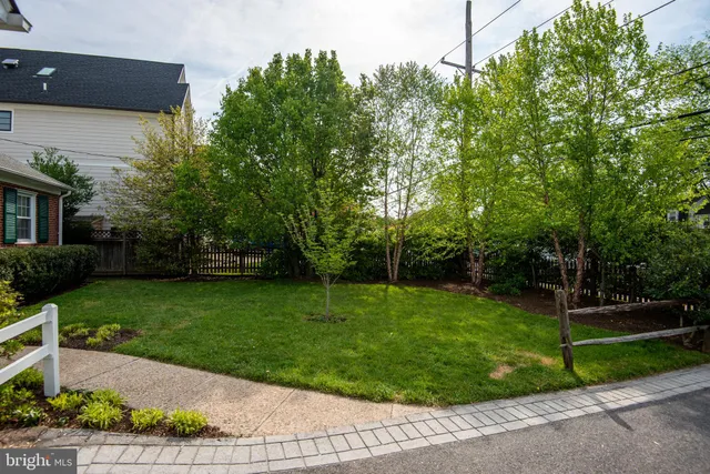 a picture of flowers