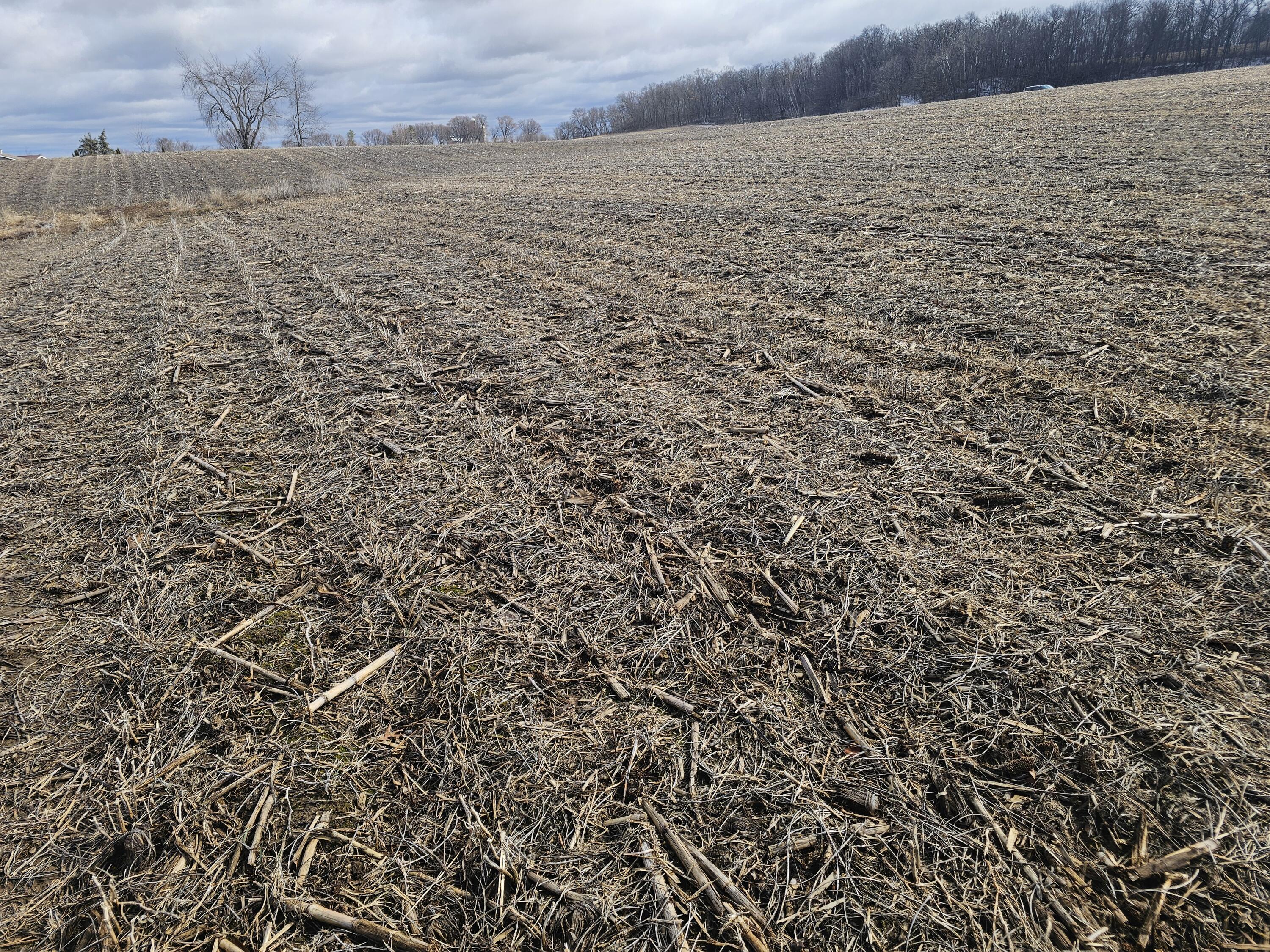 Lot 1 South Brookville Road Viroqua, WI 54665 - Photo 15 of 15 1000099118