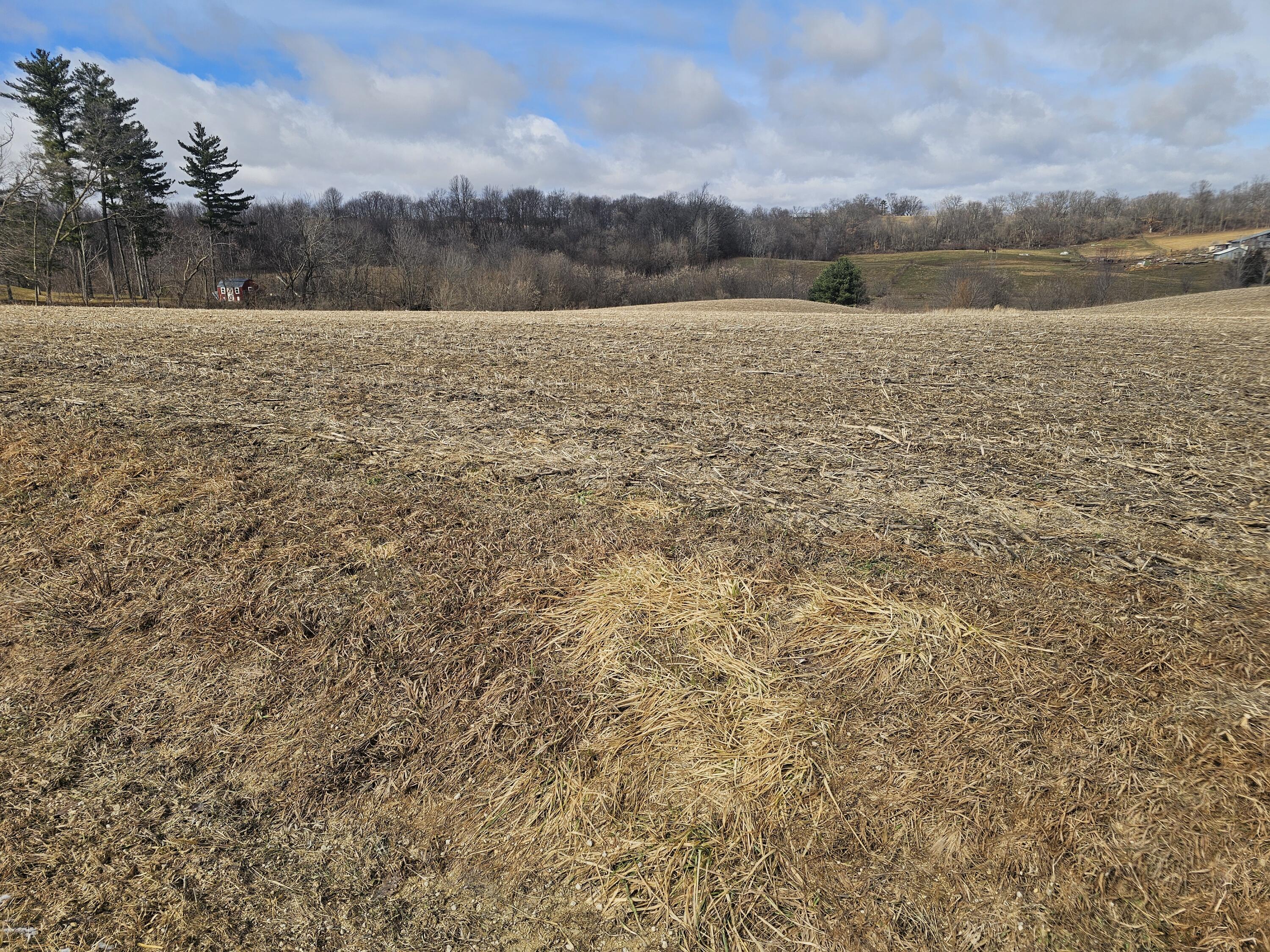 Lot 1 South Brookville Road Viroqua, WI 54665 - Photo 9 of 15 1000099112