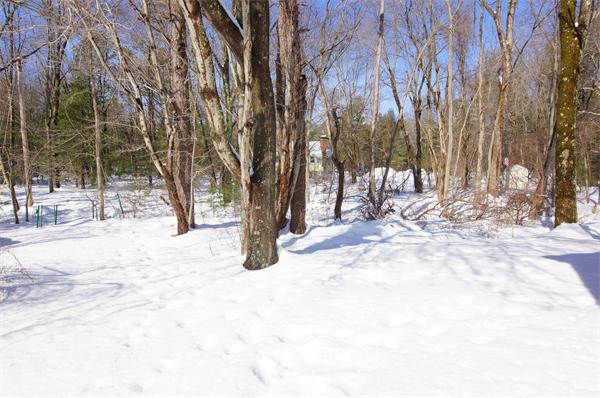 15 Trayer Road Canton, MA 02021 - Photo 23 of 23 Gallery Image 23