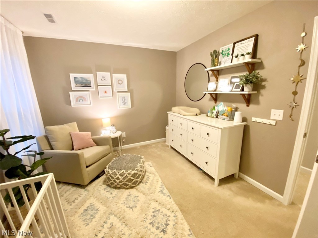31818 Rustic Ridge North Ridgeville, OH 44039 - Photo 24 of 35 Gallery Image 24