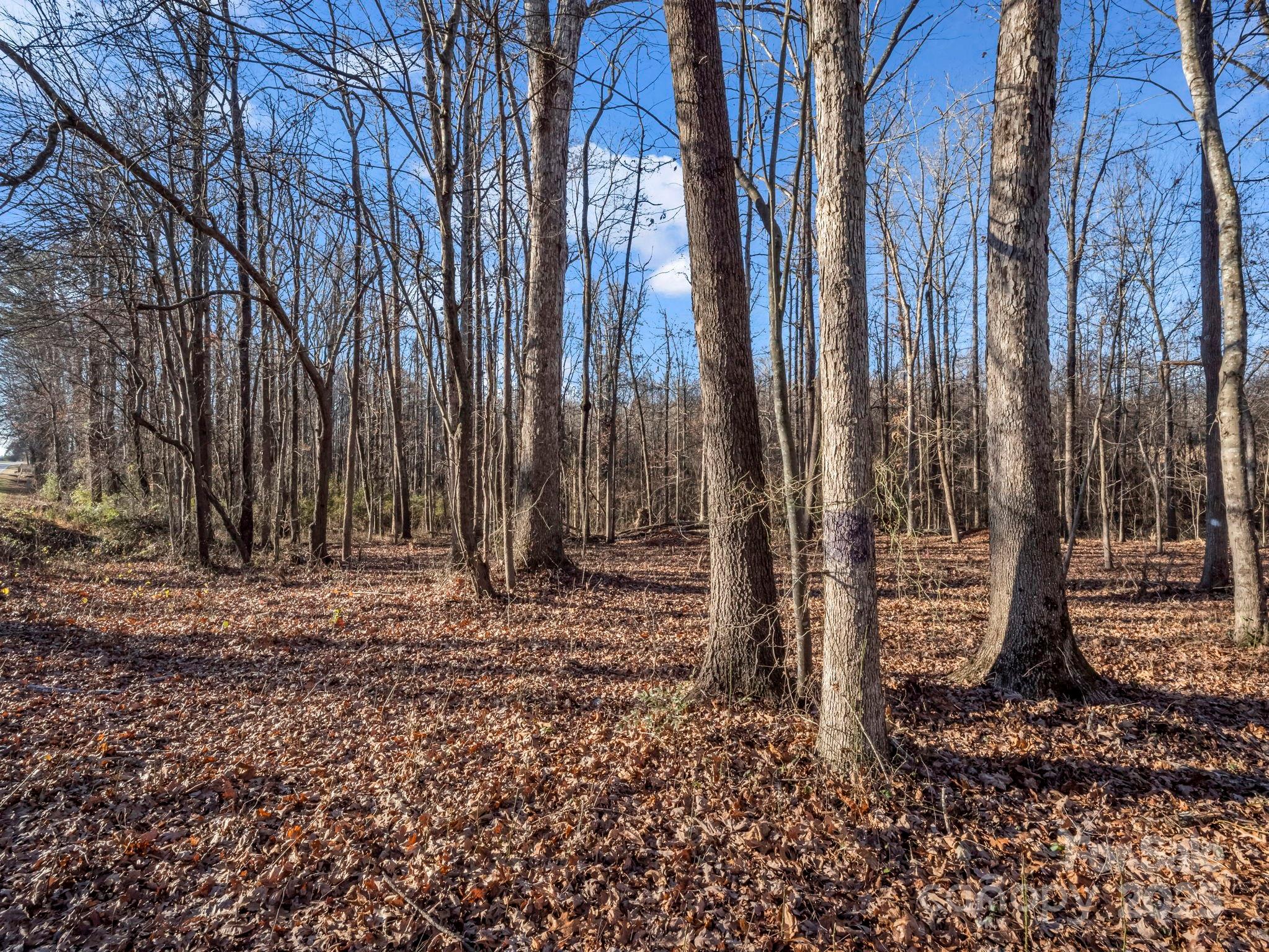 5357 Casar Road Casar, NC 28020 - Photo 3 of 10 a backyard of a house with lots of tall trees