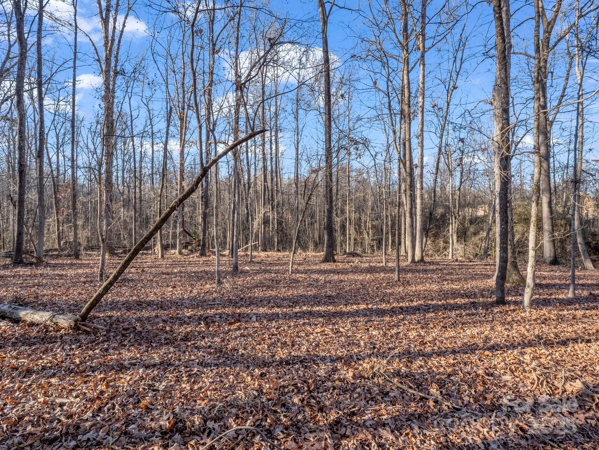 5357 Casar Road Casar, NC 28020 - Photo 4 of 10 a backyard of a house with lots of green space