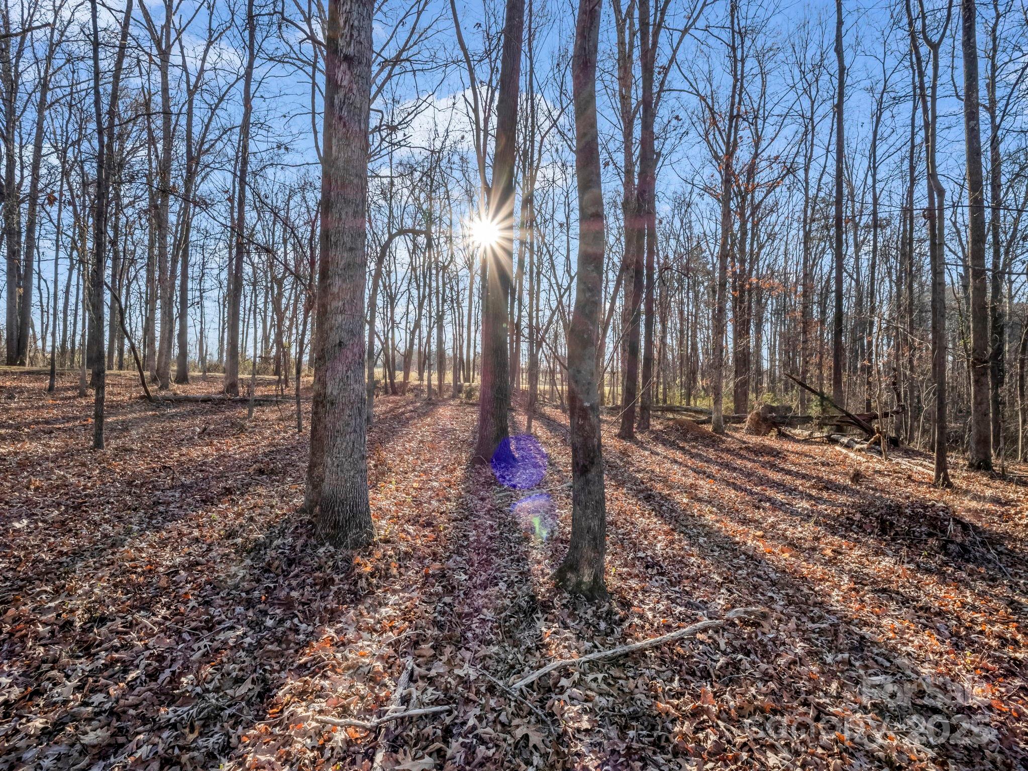 5357 Casar Road Casar, NC 28020 - Photo 5 of 10 a view of a backyard with trees