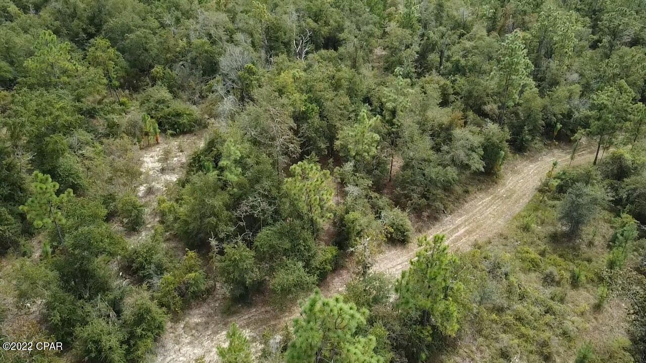 Xxx Richard Hardy Road West Bristol, FL 32321 - Photo 7 of 23