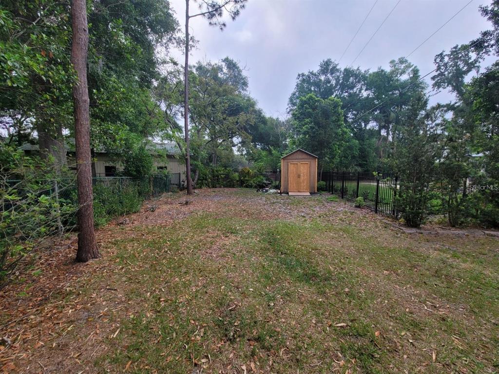 11129 Lake Butler Boulevard Windermere, FL 34786 - Photo 15 of 17 a view of a field with a small plants and trees