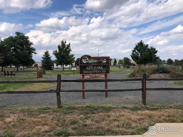 a view of a park with large trees