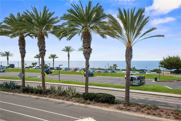 a view of a park with palm trees