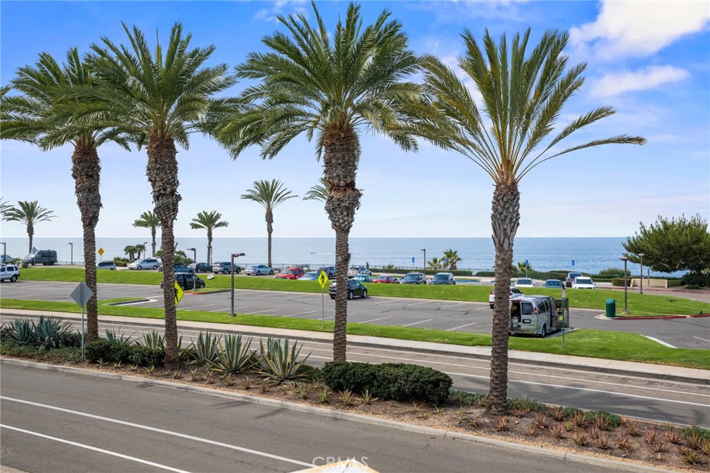34004 Selva Road, Unit 377 Dana Point, CA 92629 - Photo 2 of 38 a view of a park with palm trees