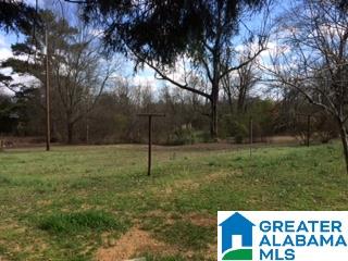 769 Chandler Mountain Road Steele, AL 35987 - Photo 28 of 41