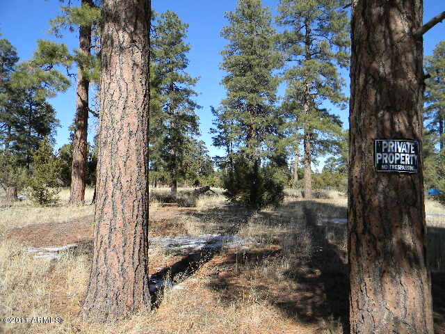 2000 Sunset Trail, Unit 61 Overgaard, AZ 85933 - Photo 3 of 6 DSCN0712