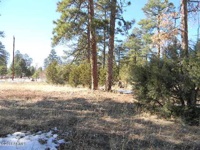2000 Sunset Trail, Unit 61 Overgaard, AZ 85933 - Photo 6 of 6 DSCN0716