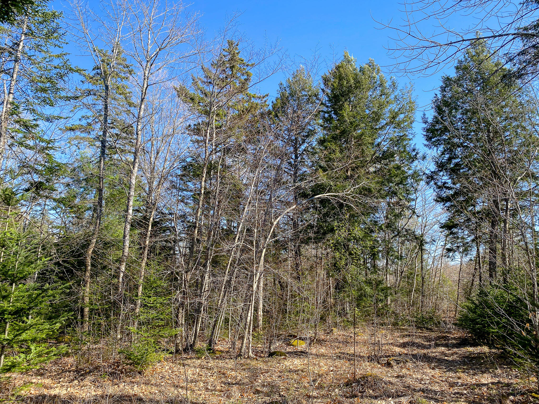 1510 Otis Road Ellsworth, ME 04605 - Photo 20 of 20 IMG_3167