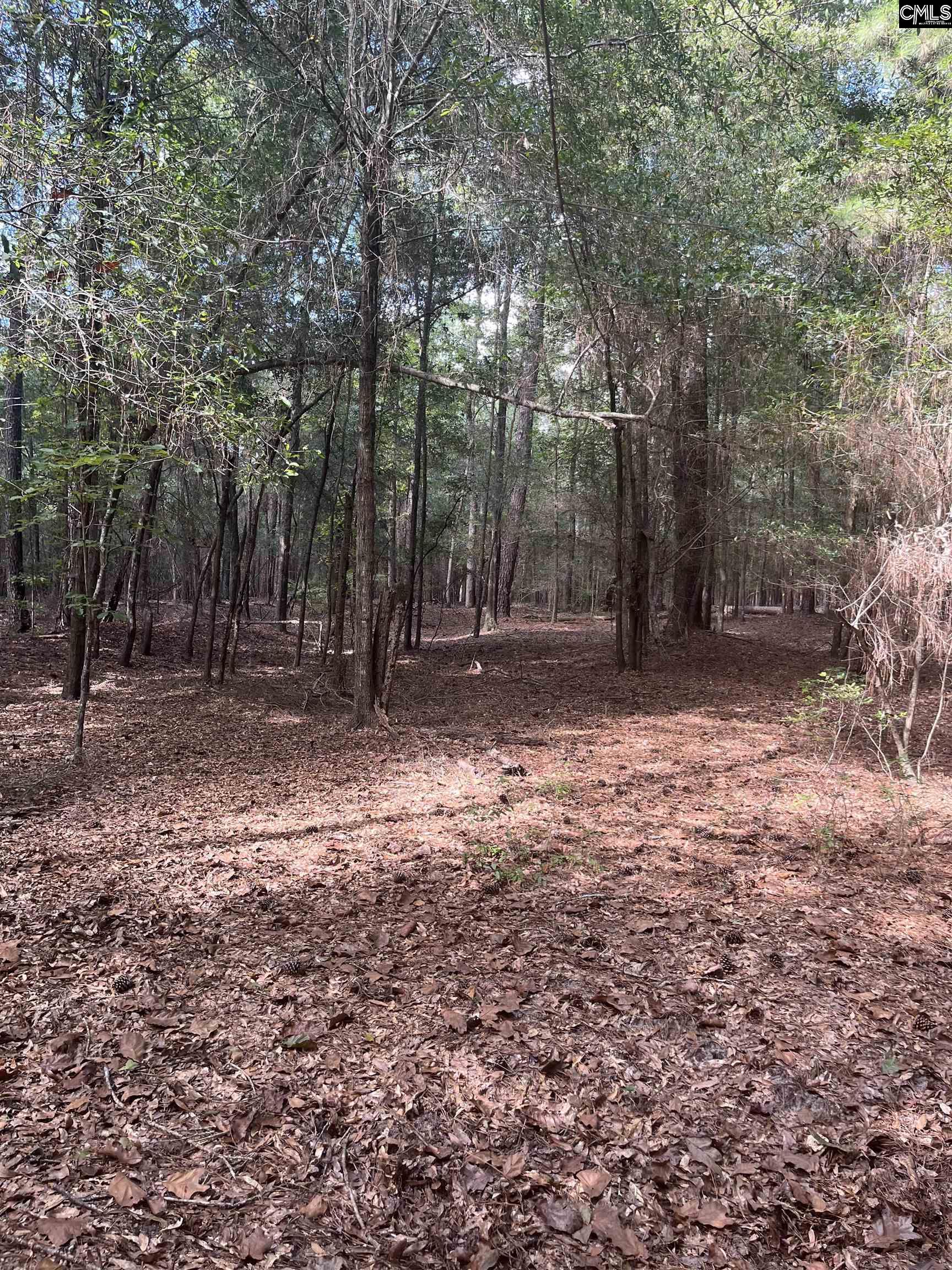 Tbd Festival Trail Road Salley, SC 29137 - Photo 9 of 12