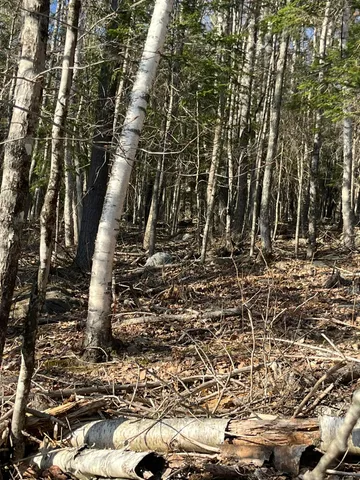 $90,000 | M10-l24-2n M10-l24-2n Us-201 West Forks, West Forks, ME 04985