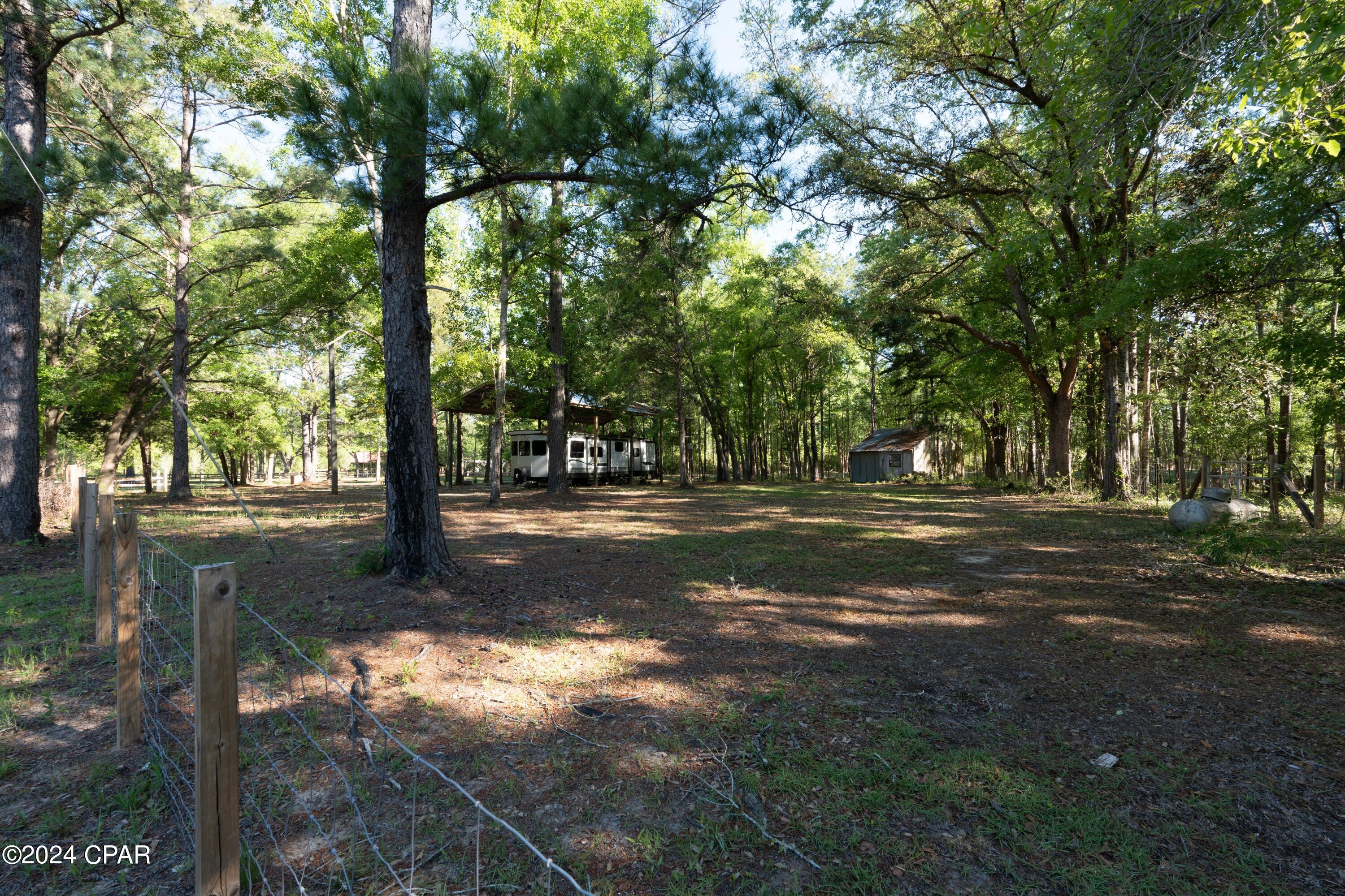 4850 Wilderness Road Caryville, FL 32427 - Photo 4 of 10 Gallery Image 4