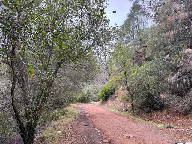 $3,000 | 12336 Mountain View Drive, Clearlake Oaks, CA 95423