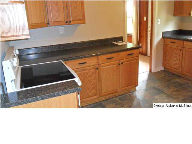 315 Mcgowan Road Wilsonville, AL 35186 - Photo 7 of 11