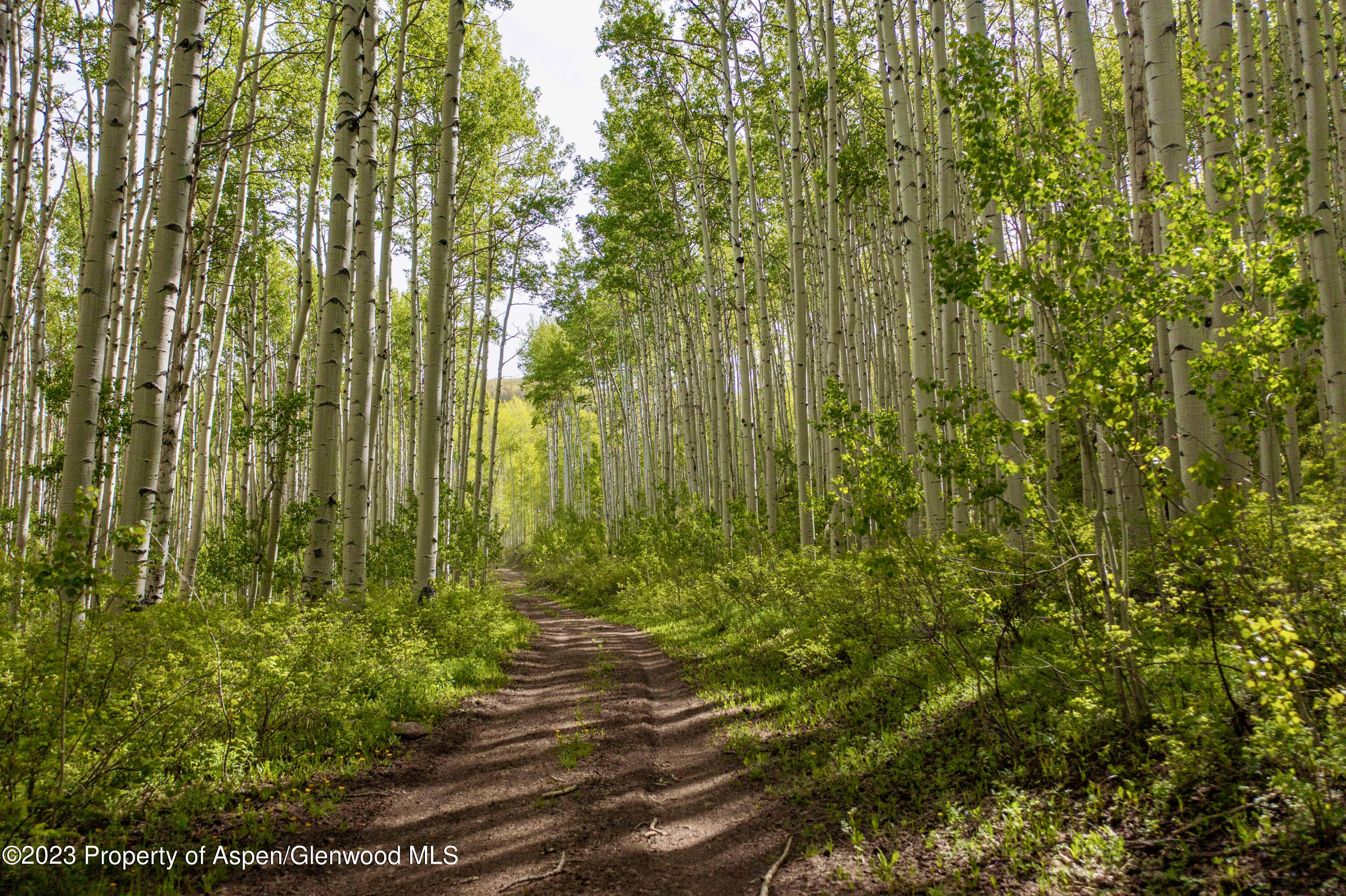 41763 Rd H Dolores, CO 81323 - Photo 16 of 32 a view of a garden