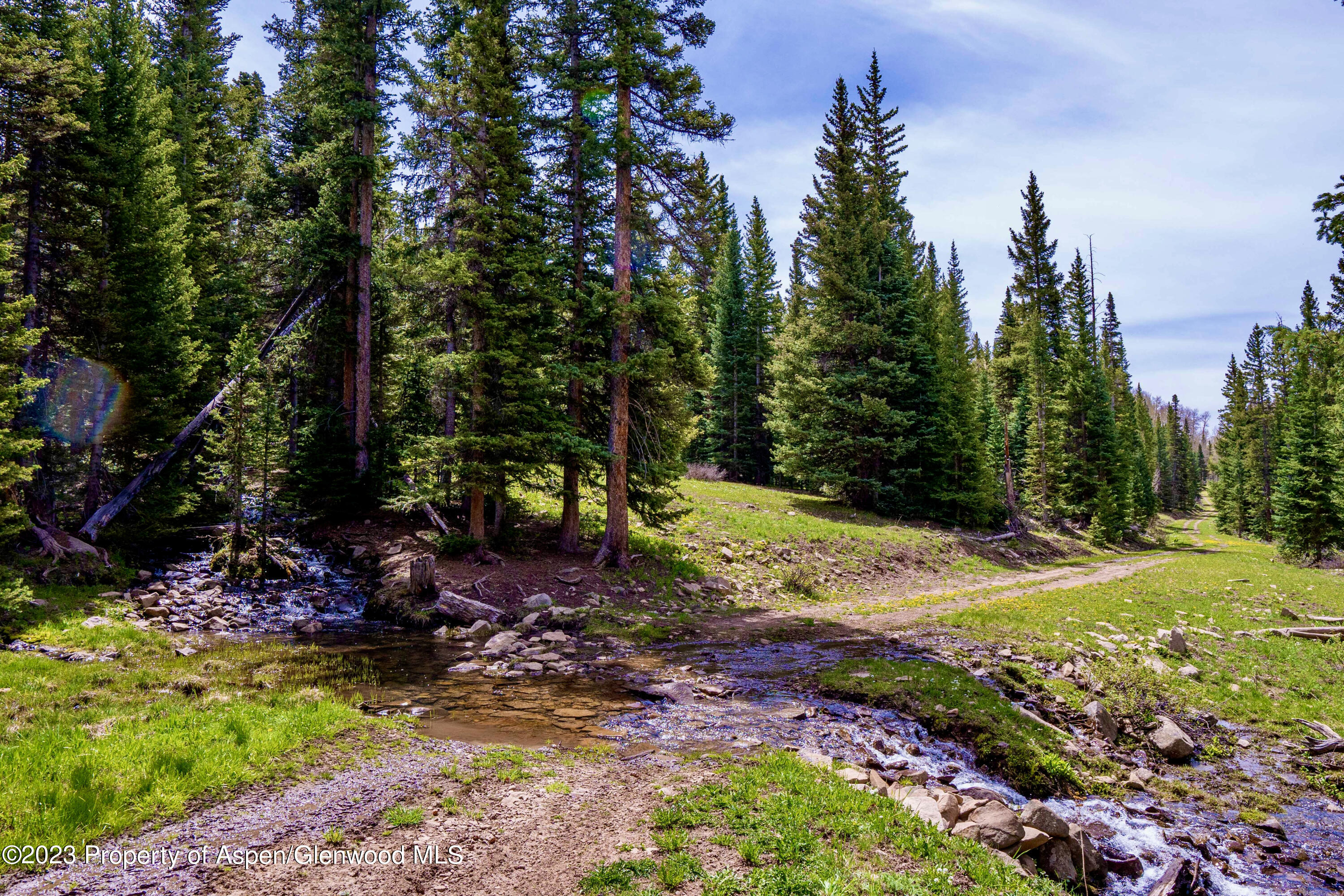 41763 Rd H Dolores, CO 81323 - Photo 20 of 32 a view of a backyard with tree