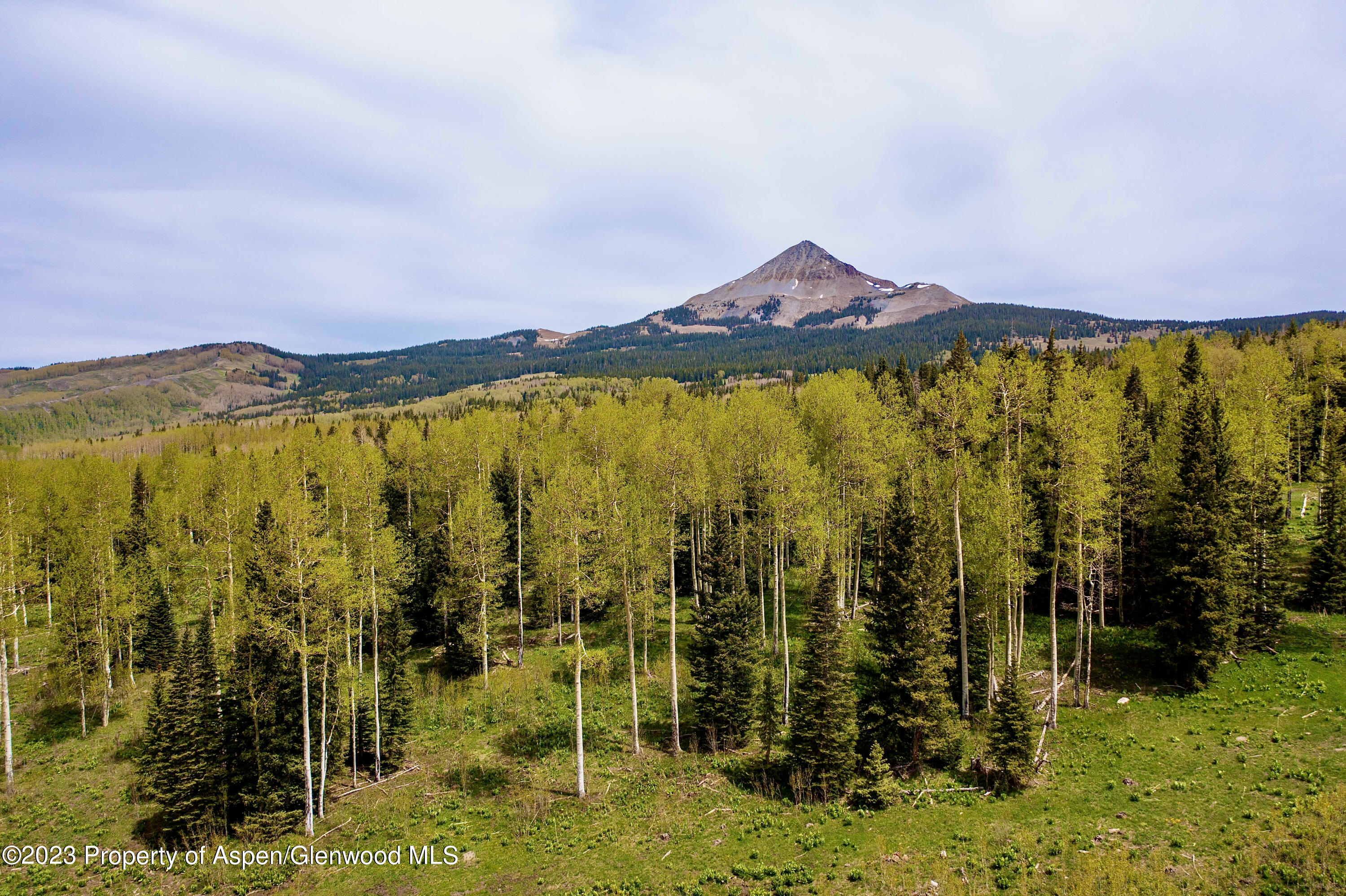 41763 Rd H Dolores, CO 81323 - Photo 22 of 32 a view of lake view and mountain view