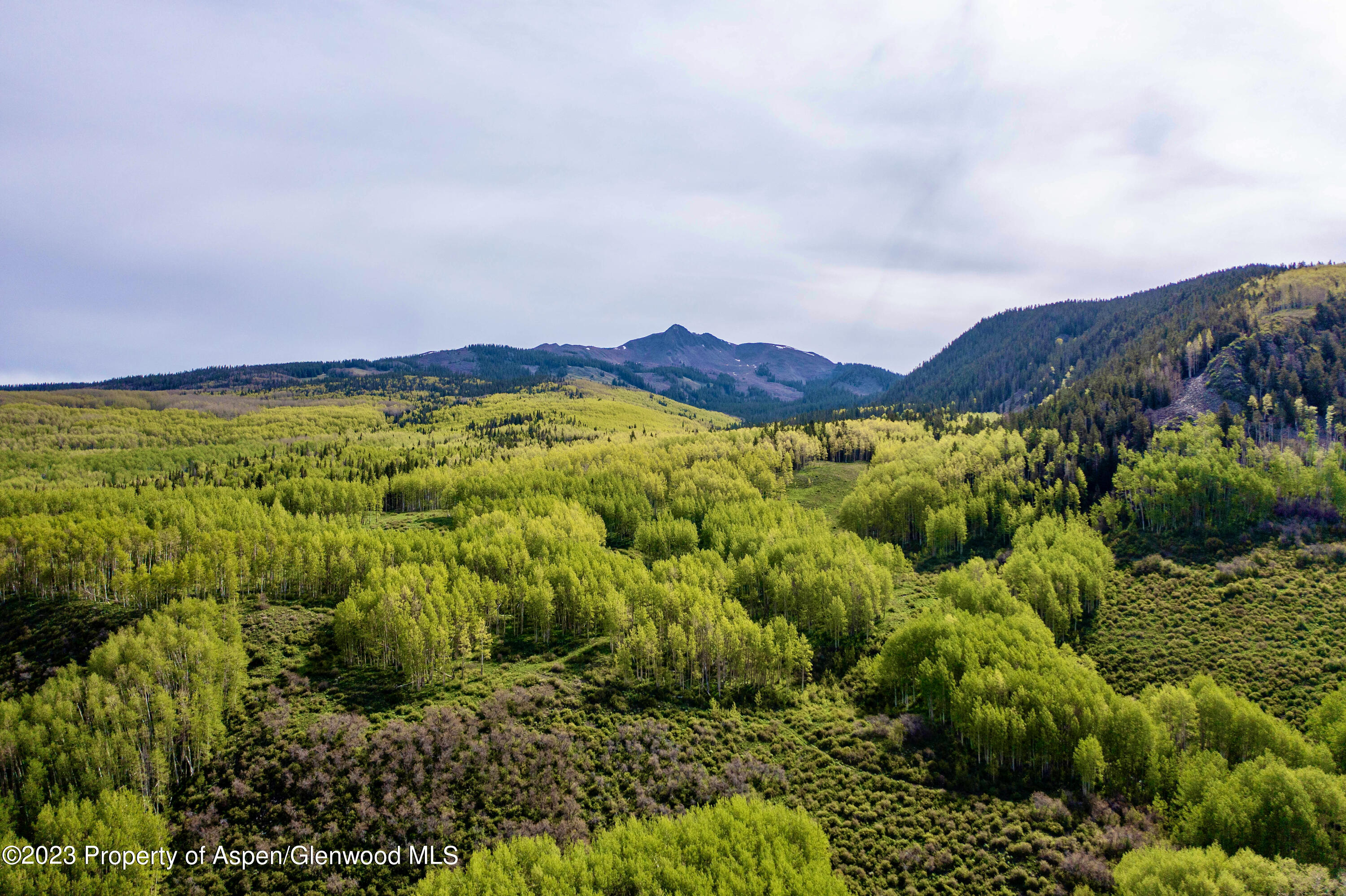 41763 Rd H Dolores, CO 81323 - Photo 25 of 32 a view of a garden