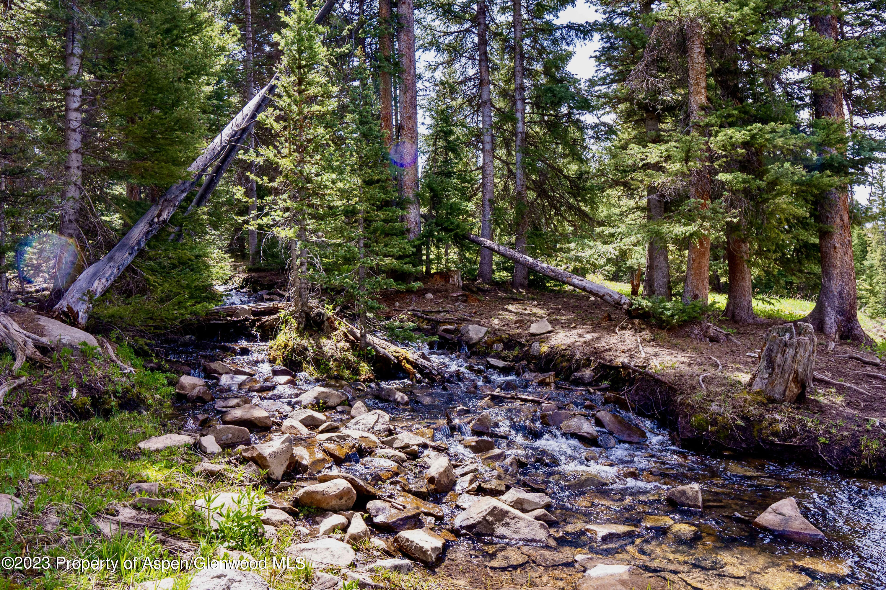 41763 Rd H Dolores, CO 81323 - Photo 9 of 32 a picture of trees