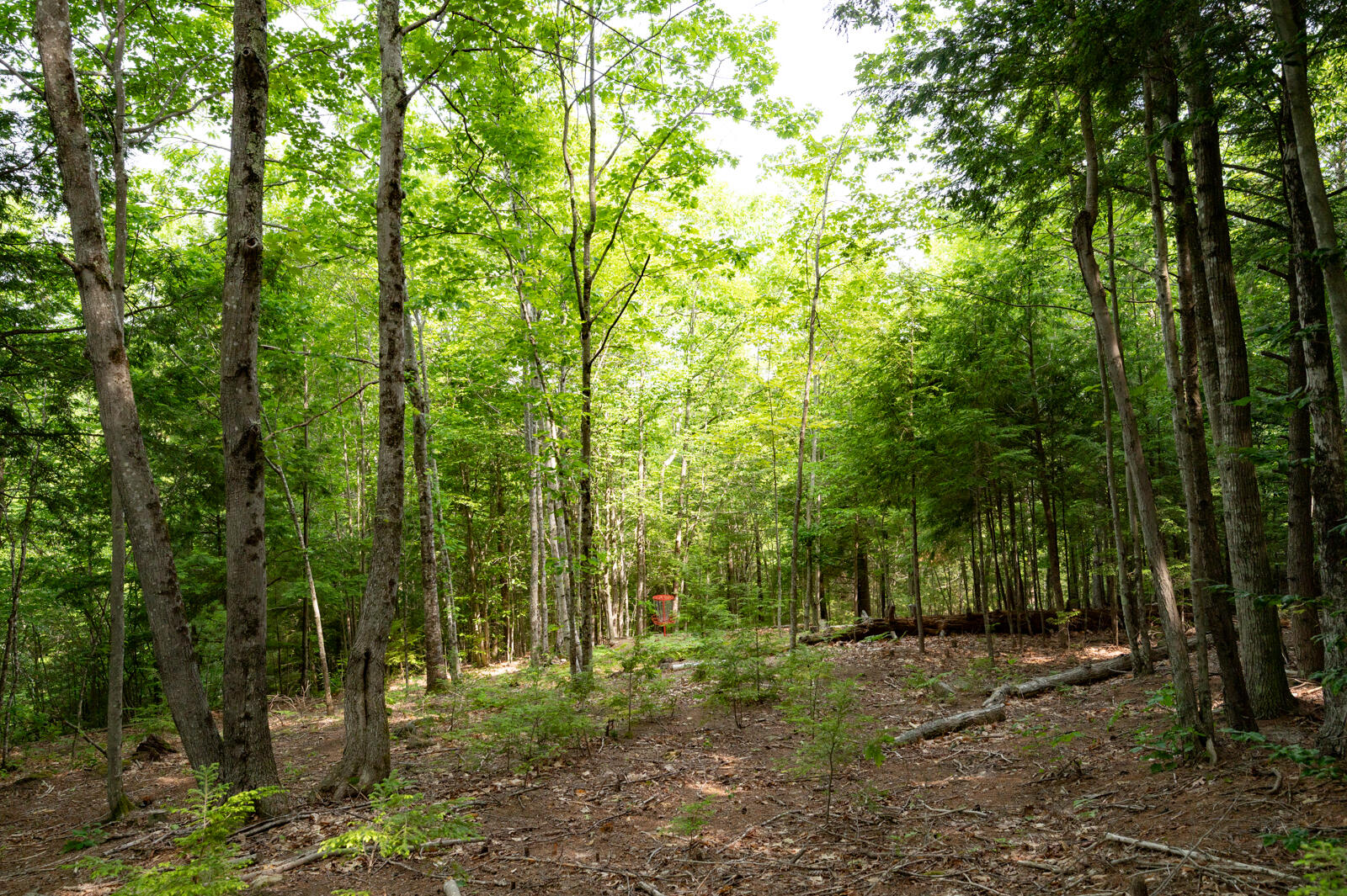 237-001 Hopper Road Acton, ME 04001 - Photo 11 of 19 DSC_2377