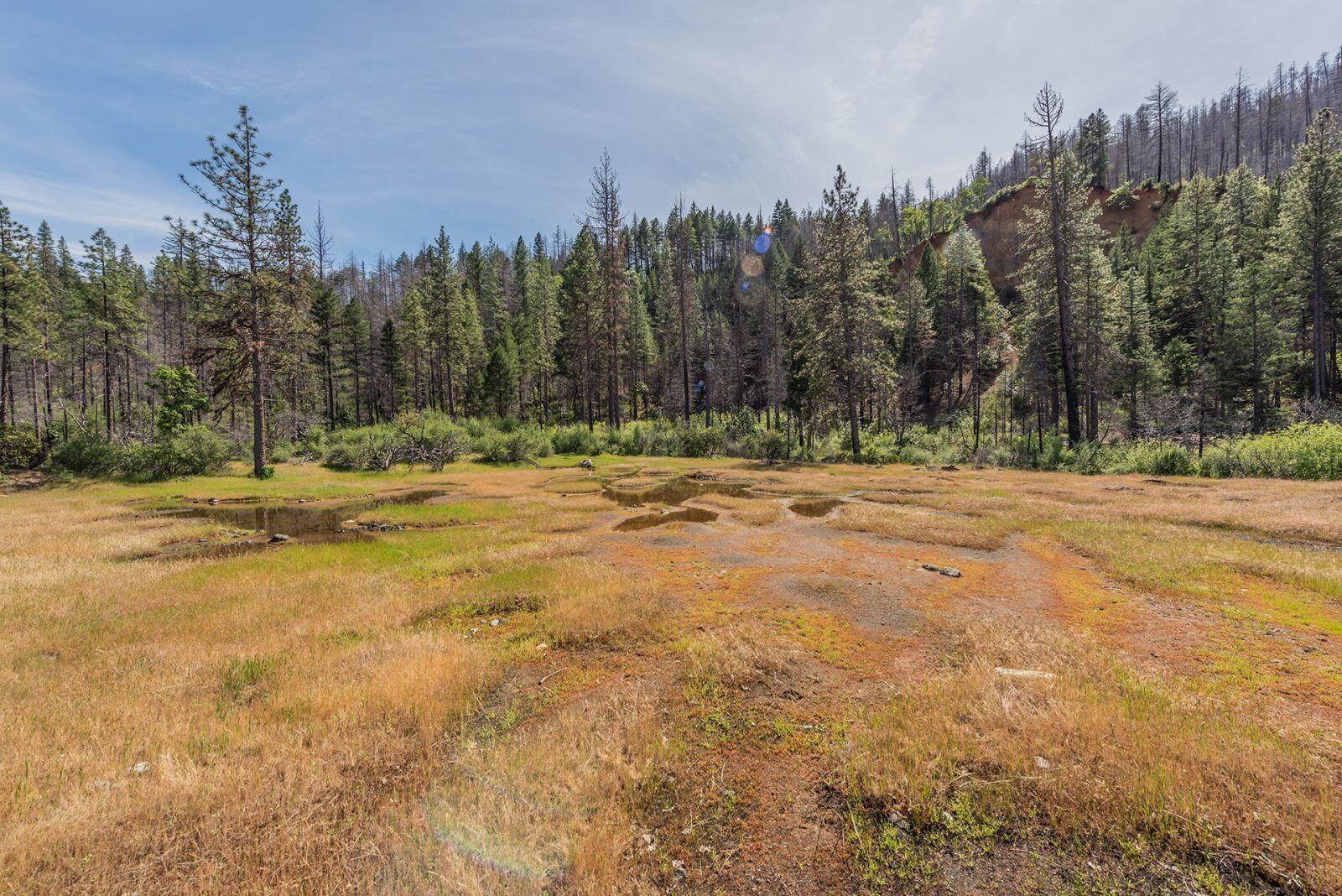 710 Dutch Creek Road Junction City, CA 96048 - Photo 36 of 38 a view of outdoor space with trees