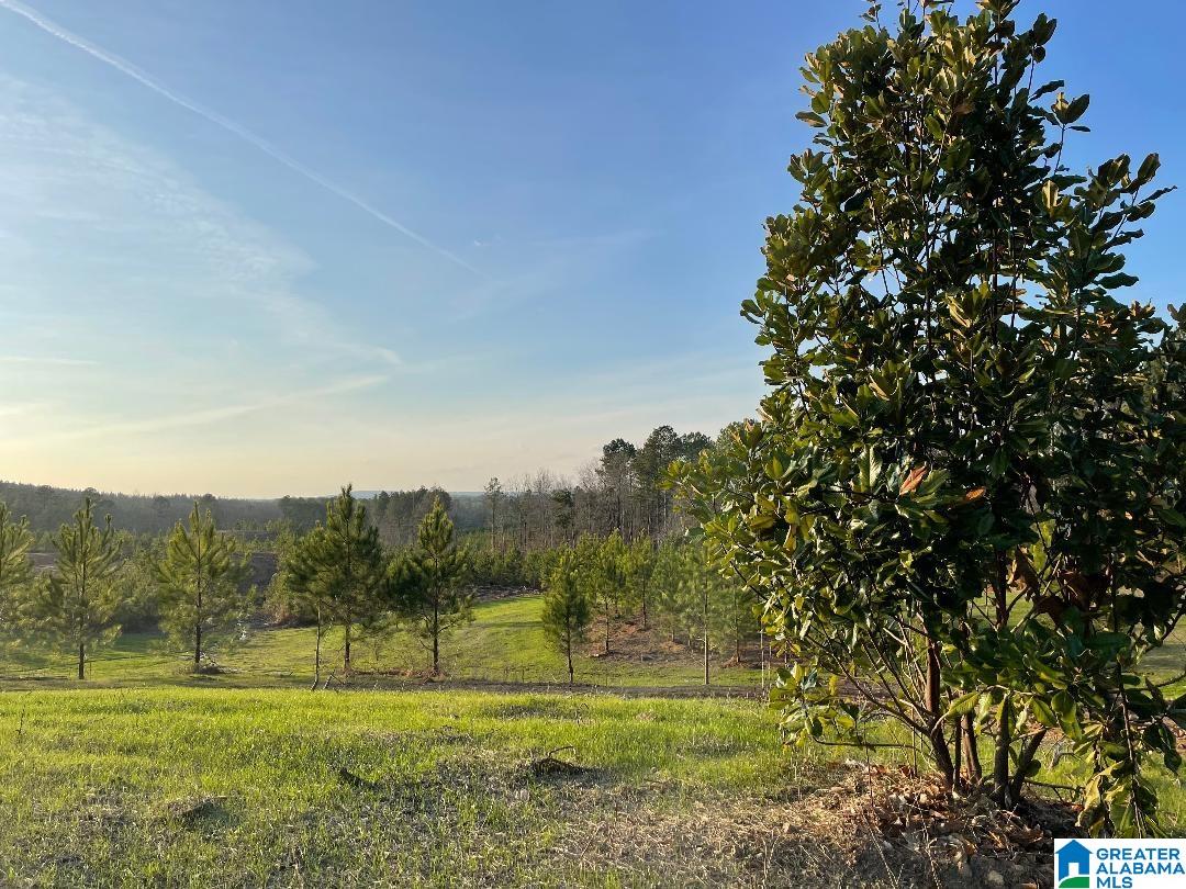 57 Rocky Ridge Road, Unit 5 Columbiana, AL 35051 - Photo 4 of 4