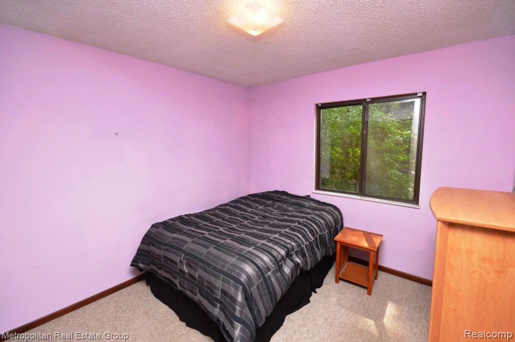 13256 Hibner Road Hartland, MI 48353 - Photo 22 of 41 22.jpg