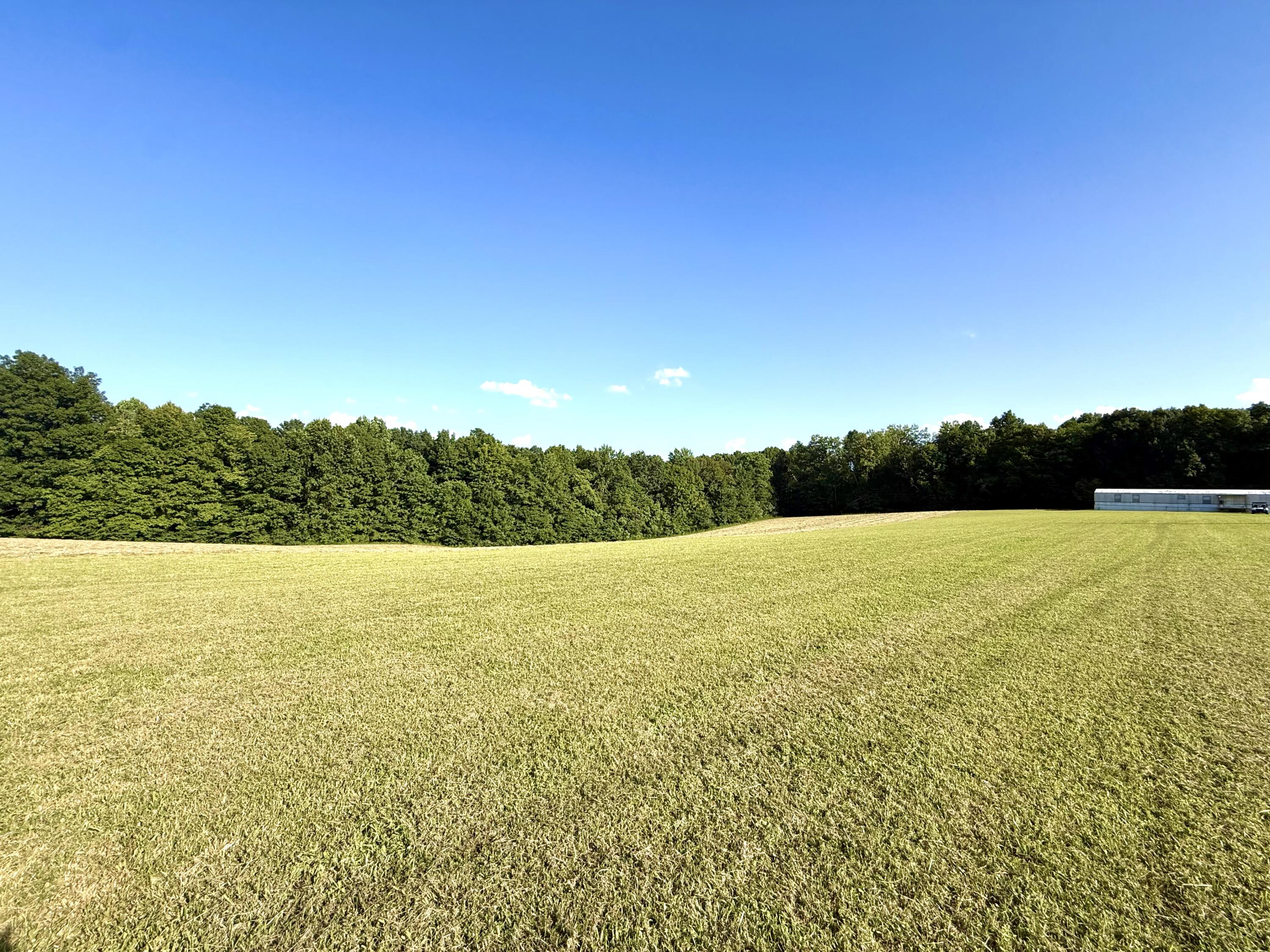 765 Henson Ridge Road Liberty, KY 42539 - Photo 4 of 20 IMG_6057