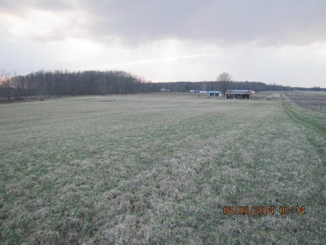 0 Trimmer Road Sunbury, OH 43074 - Photo 4 of 8