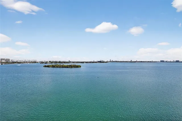 an aerial view of a residential building and lake view