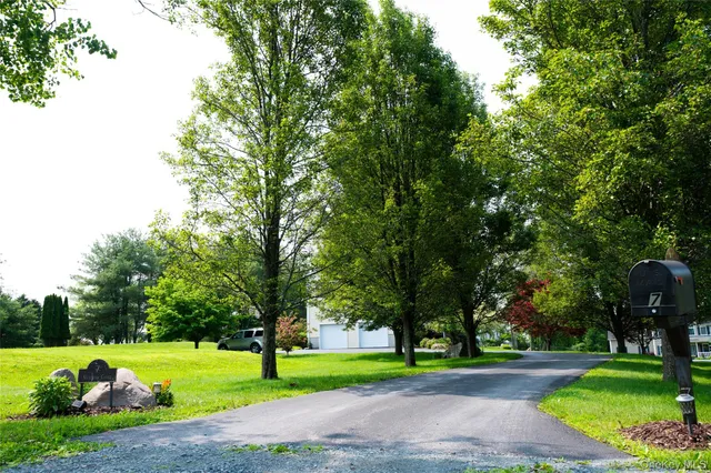 a view of a garden with flowers and flowers