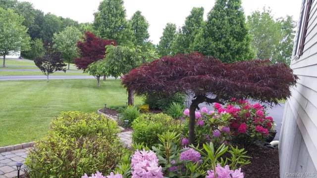 a view of a garden with plants and large trees