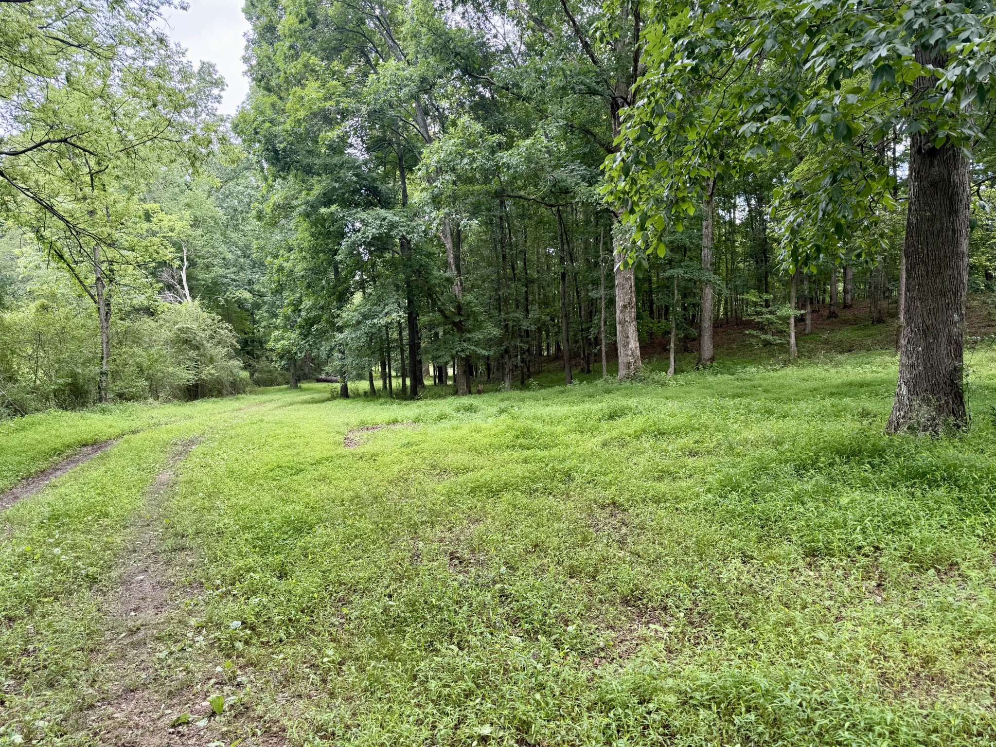0 Crowder Road Lawrenceburg, TN 38464 - Photo 20 of 58