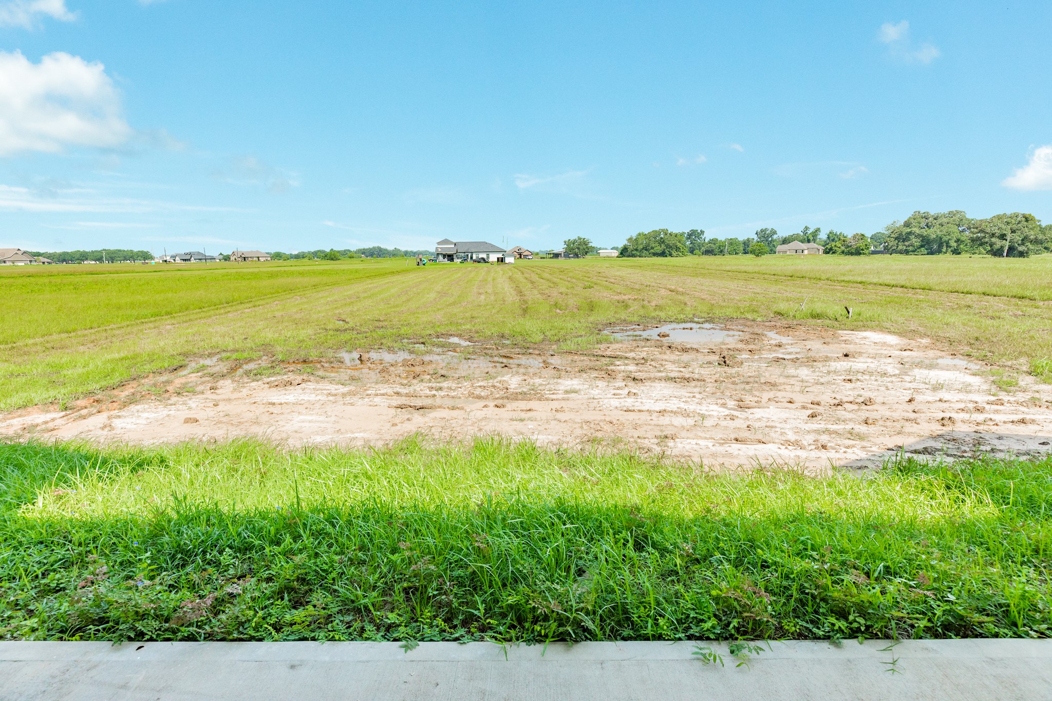 302 Colt Trail Angleton, TX 77515 - Photo 38 of 38