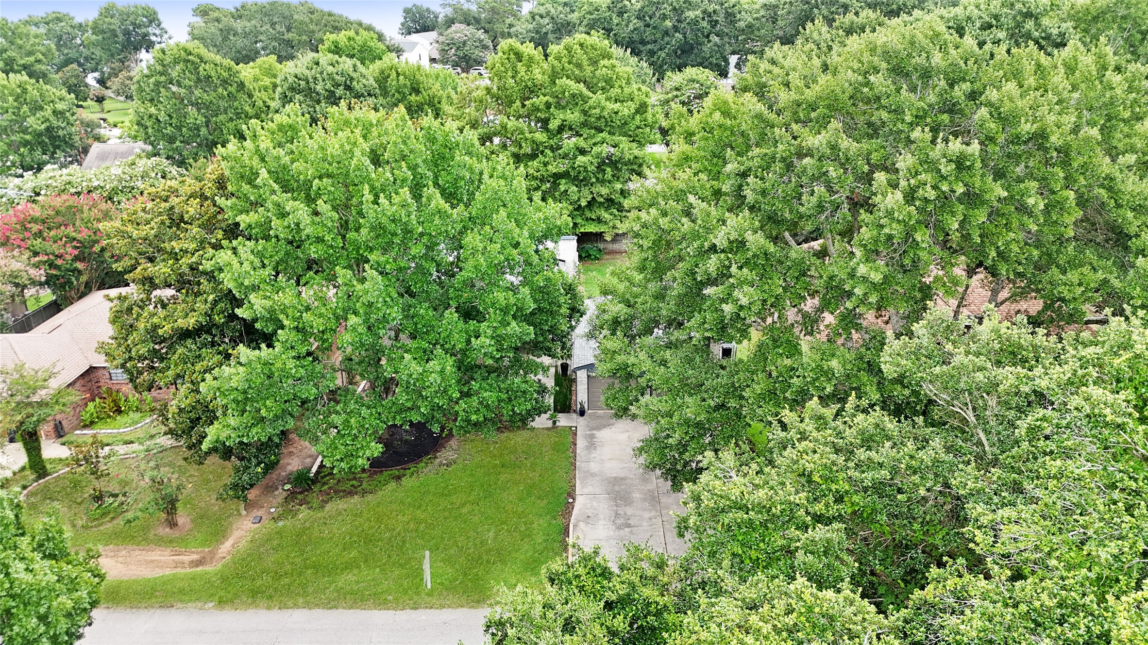 28831 South Diamondhead Conroe, TX 77356 - Photo 28 of 29 a view of a garden with plants