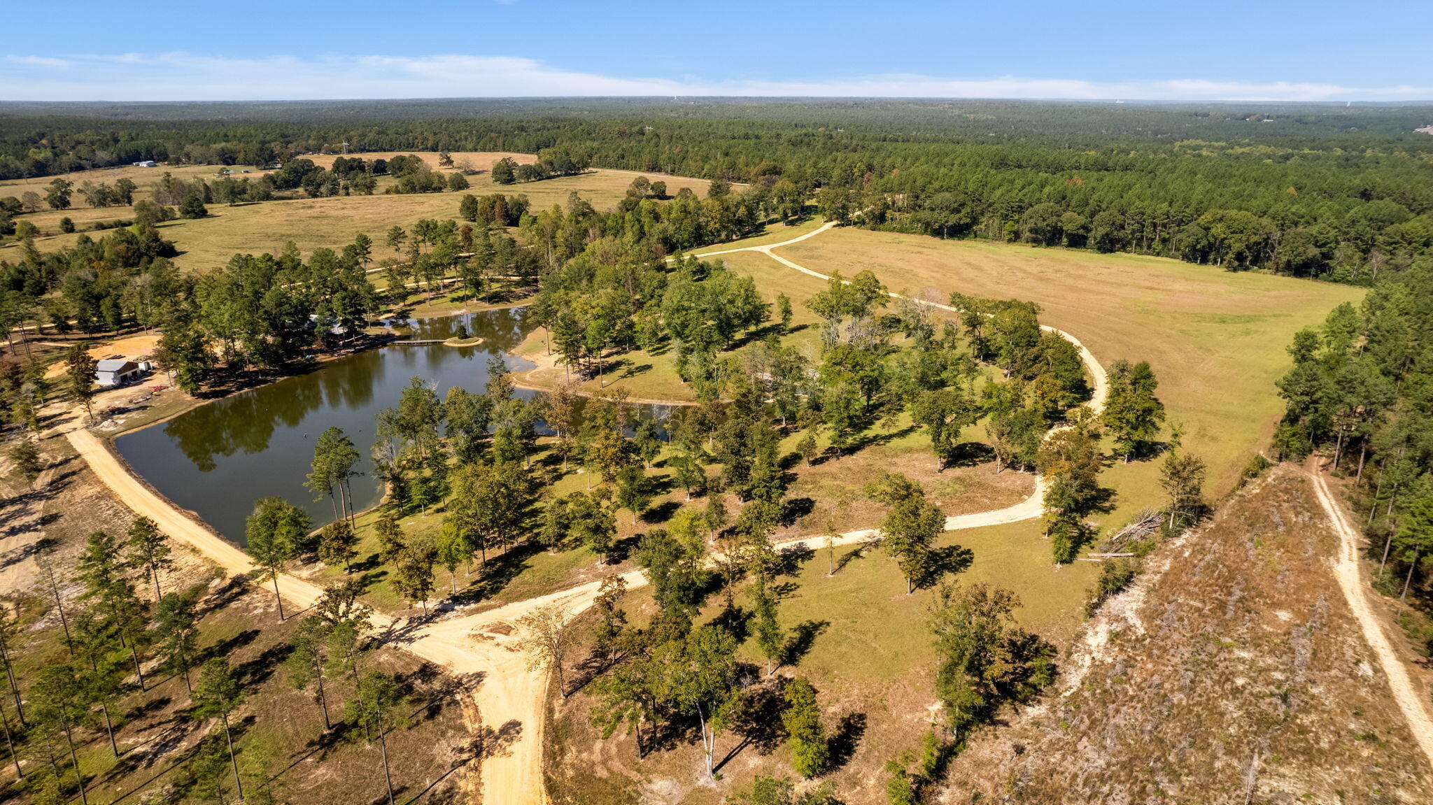 363 Rockhill To Lumberton Road Purvis, MS 39475 - Photo 7 of 71 Gallery Image 7