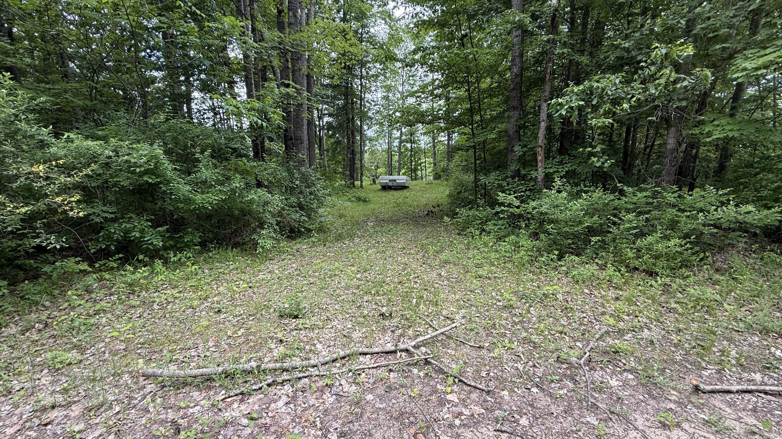 South Woods Road Branch, MI 49402 - Photo 11 of 14 vacant.lot8