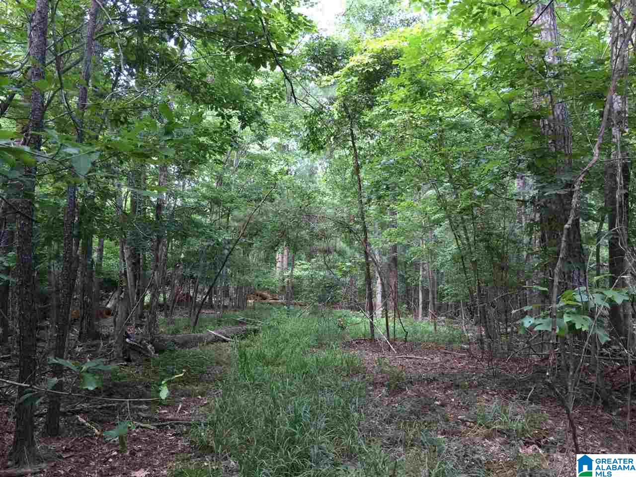 2364 Grants Mill Road Birmingham, AL 35210 - Photo 2 of 17