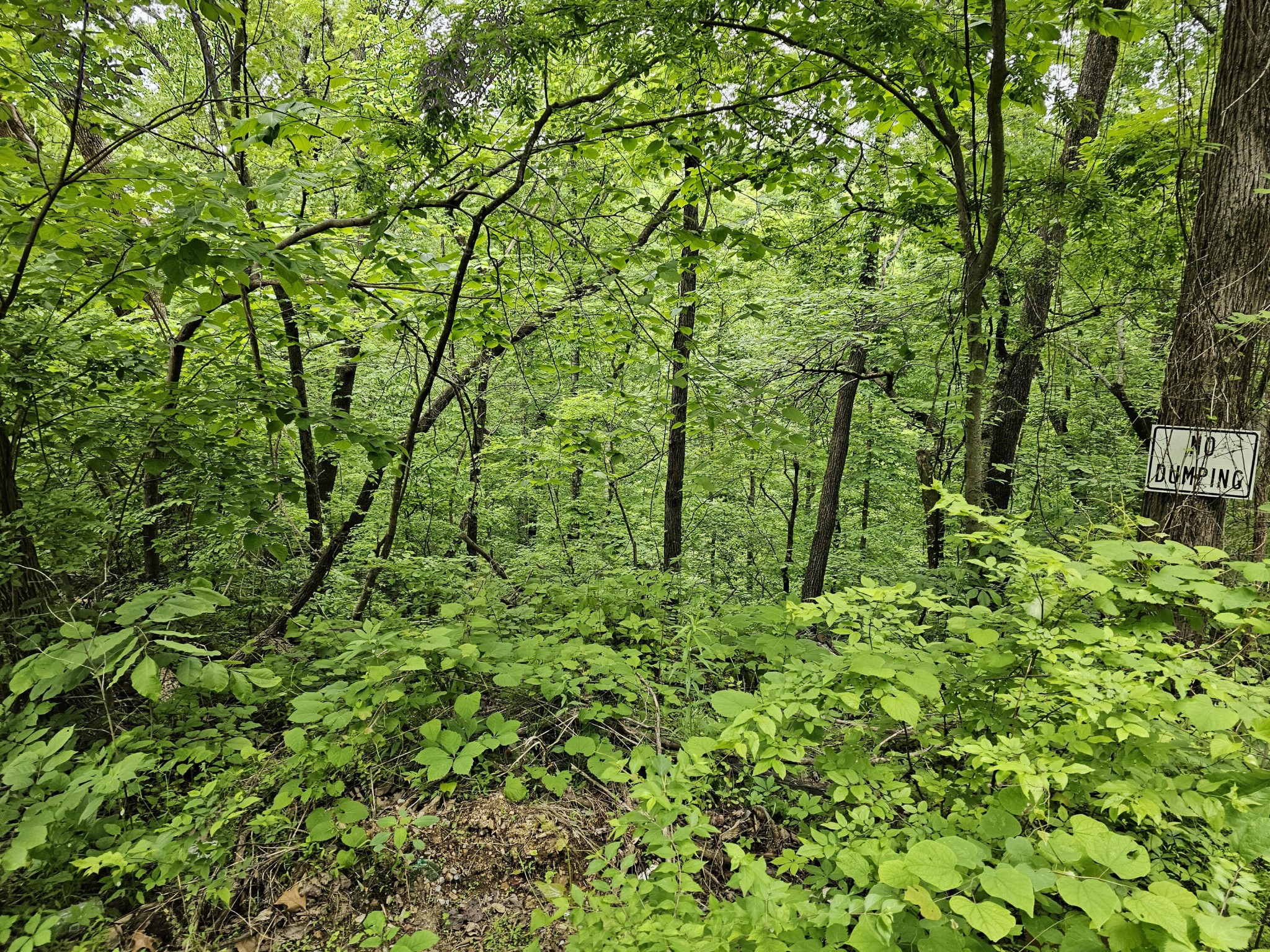 19 High View Road Sevierville, TN 37876 - Photo 6 of 20 Gallery Image 6
