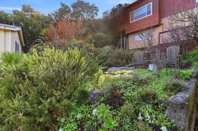 a view of a back yard