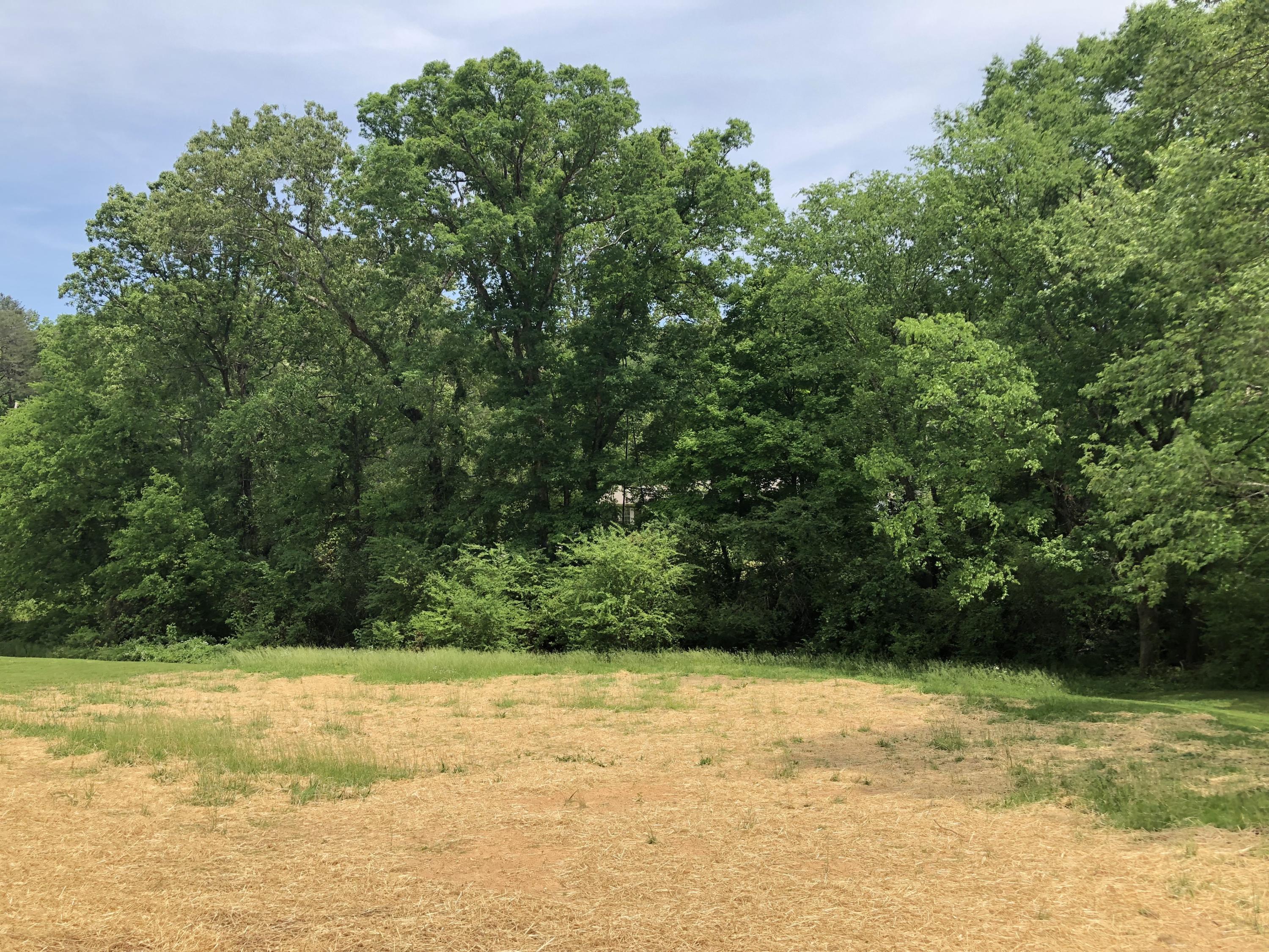 11006 Eustice Road Soddy Daisy, TN 37379 - Photo 22 of 50 BiueegXgQkOW8+LYsnxqNw