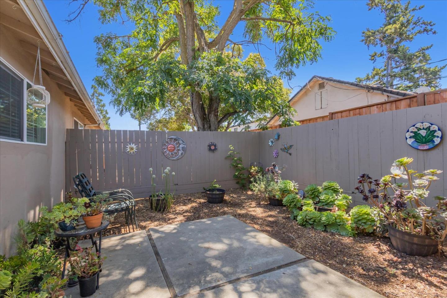 22620 Alcalde Road Cupertino, CA 95014 - Photo 34 of 39 a view of a backyard with plants and flowers