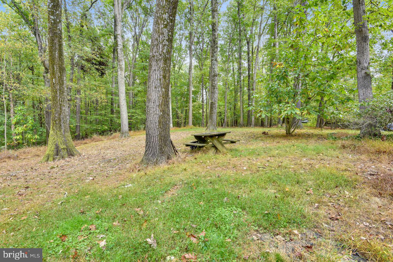 14415 Manor Road Phoenix, MD 21131 - Photo 9 of 40 Wooded view for your picnic .