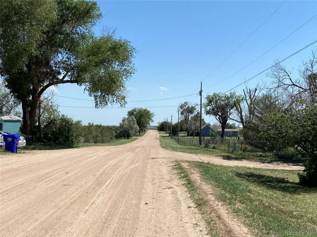 a view of a yard with plants and trees