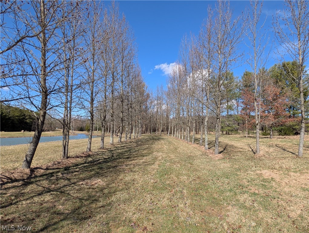 16474 Palmyra Road Lake Milton, OH 44429 - Photo 44 of 50