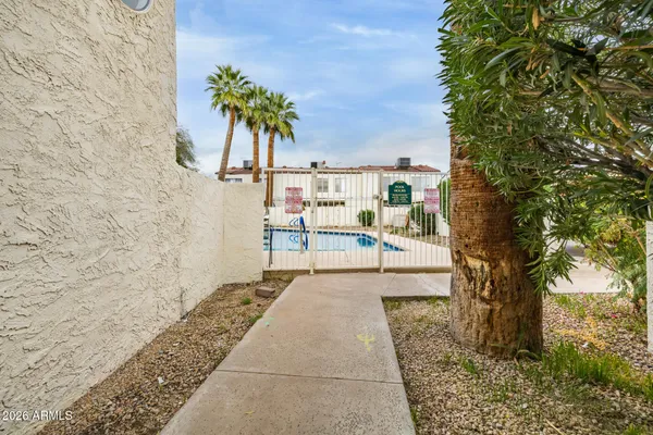 a view of a palm trees front of house